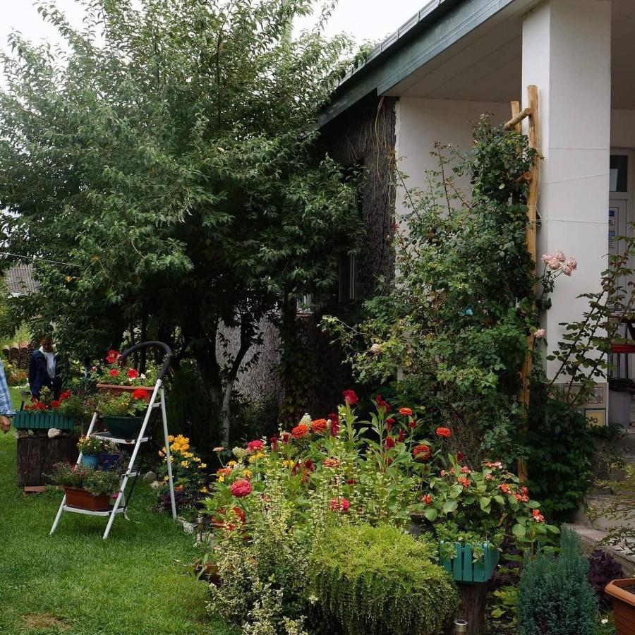Leila'S Guest House Joqolo Екстер'єр фото